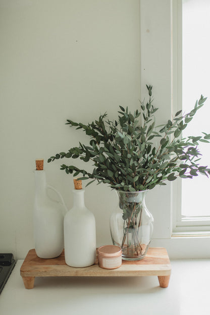 Saule court italien (Parvifolia)