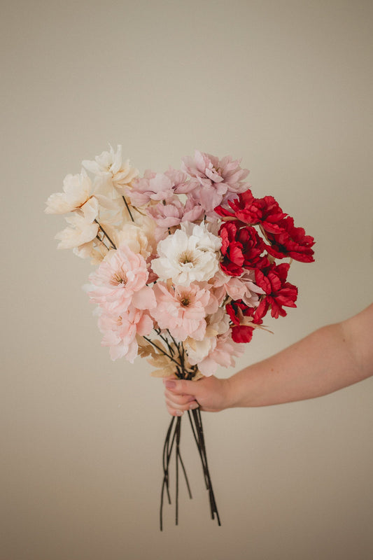 Pivoine sauvage