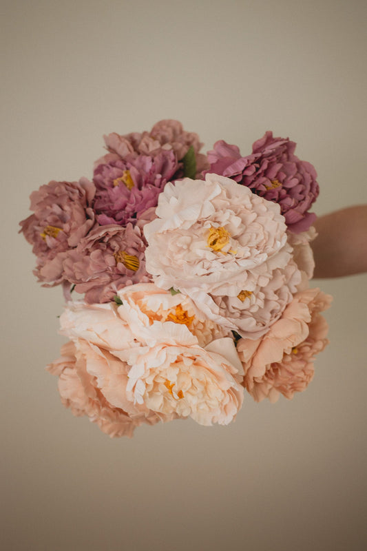 Pivoine de Londres