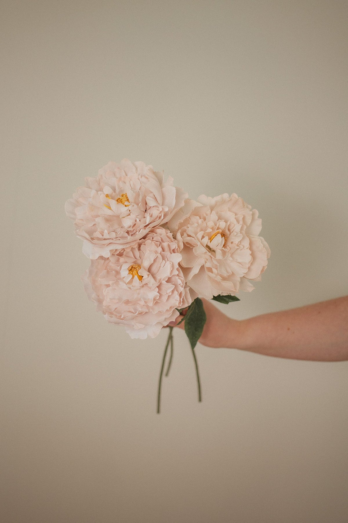 London Peony