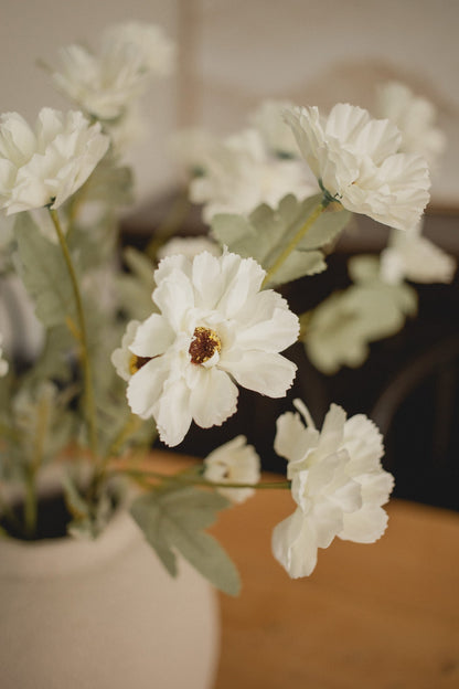 Nouvelle Tige Cosmos