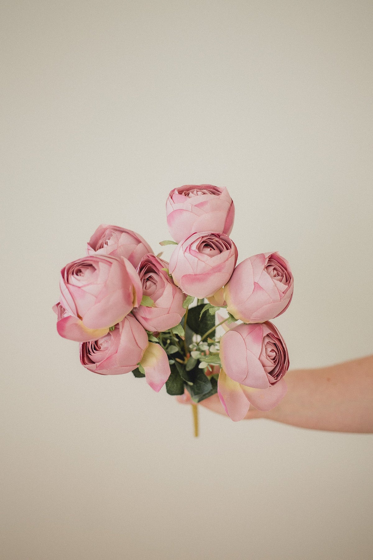 Ensemble Pivoine Parfaite