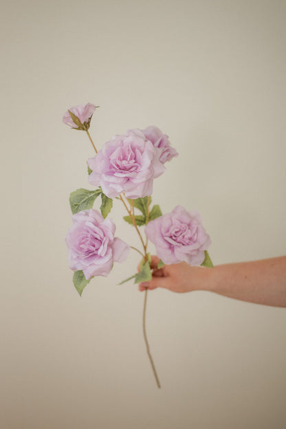 Rose Branch
