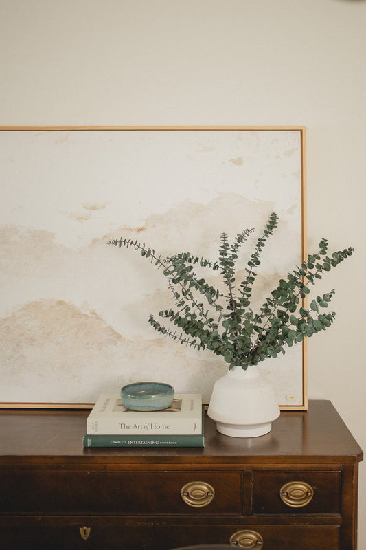 Eucalyptus nain italien