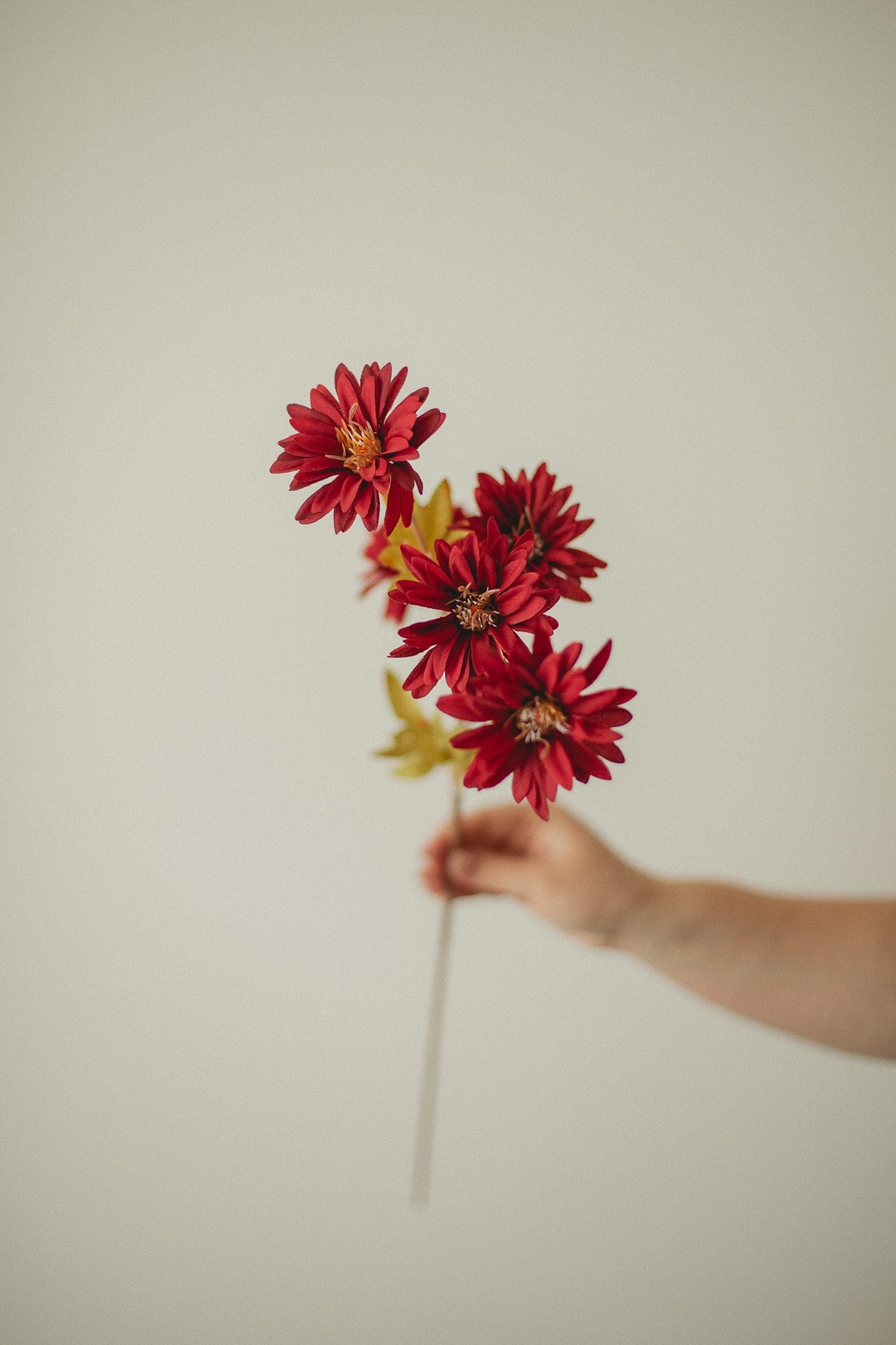 Ensemble Tournesol