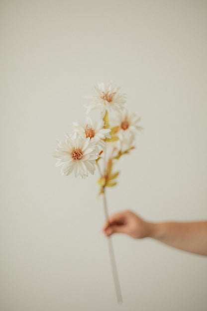 Ensemble Tournesol