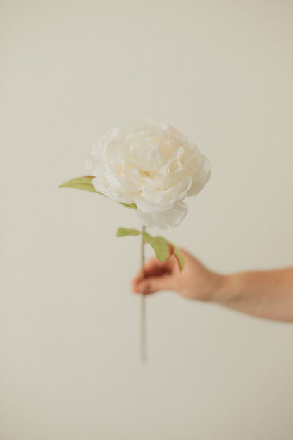 Grande Pivoine