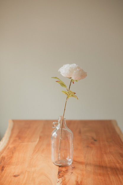 Grande Pivoine