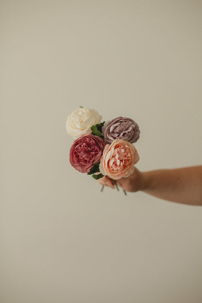 English Rose