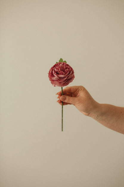 English Rose