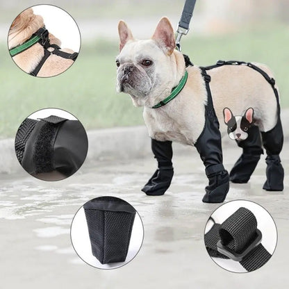 Vancouver Dog Boots | Waterproof Rain Dog Boots