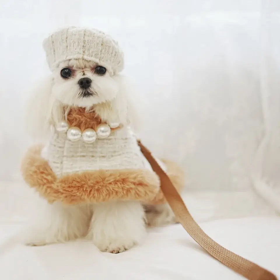 Dog Harness Hat and Leash Set | Designer Pet Set