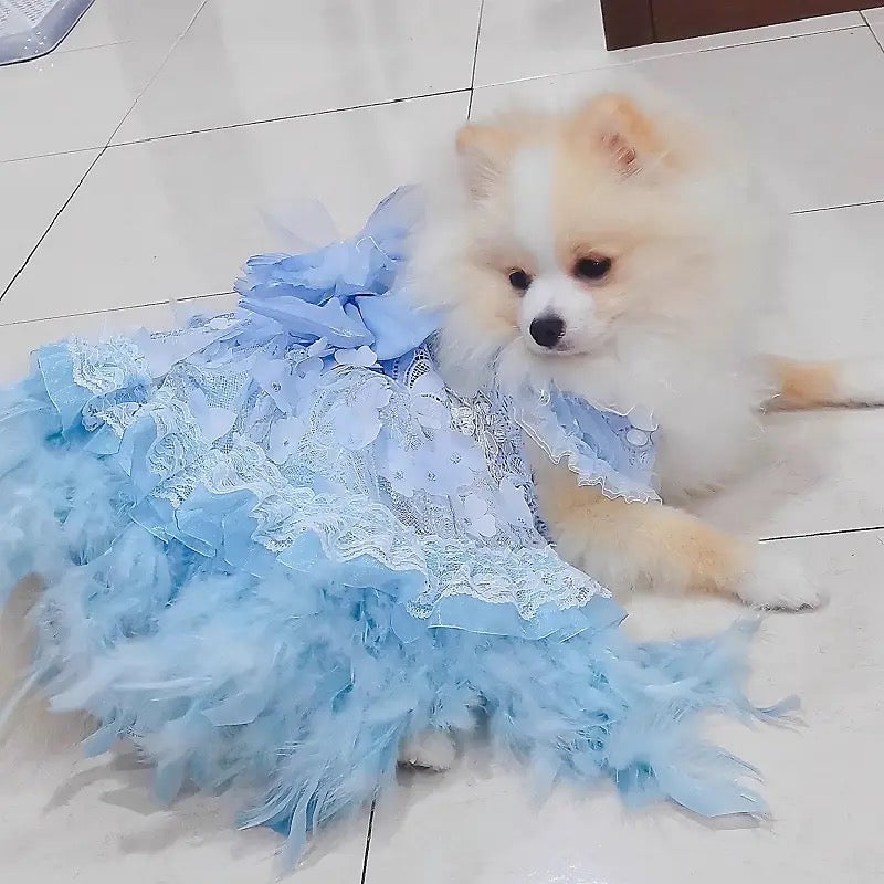 Robe de princesse Elsa pour chien | Tenue de soirée féerique pour chien