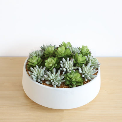 Composition de succulentes artificielles Eva dans un pot bas blanc