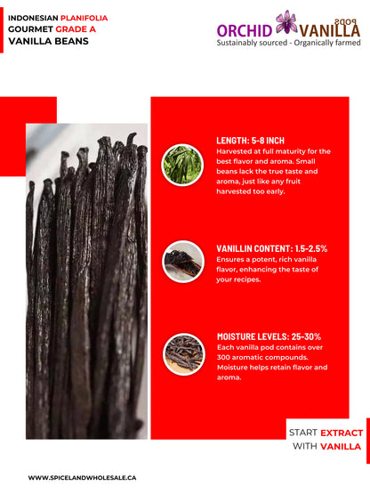 Indonesian Vanilla (Sumatra) Planifolia Gourmet Grade-A Beans<br>For Extract And Baking<BR>By Pound