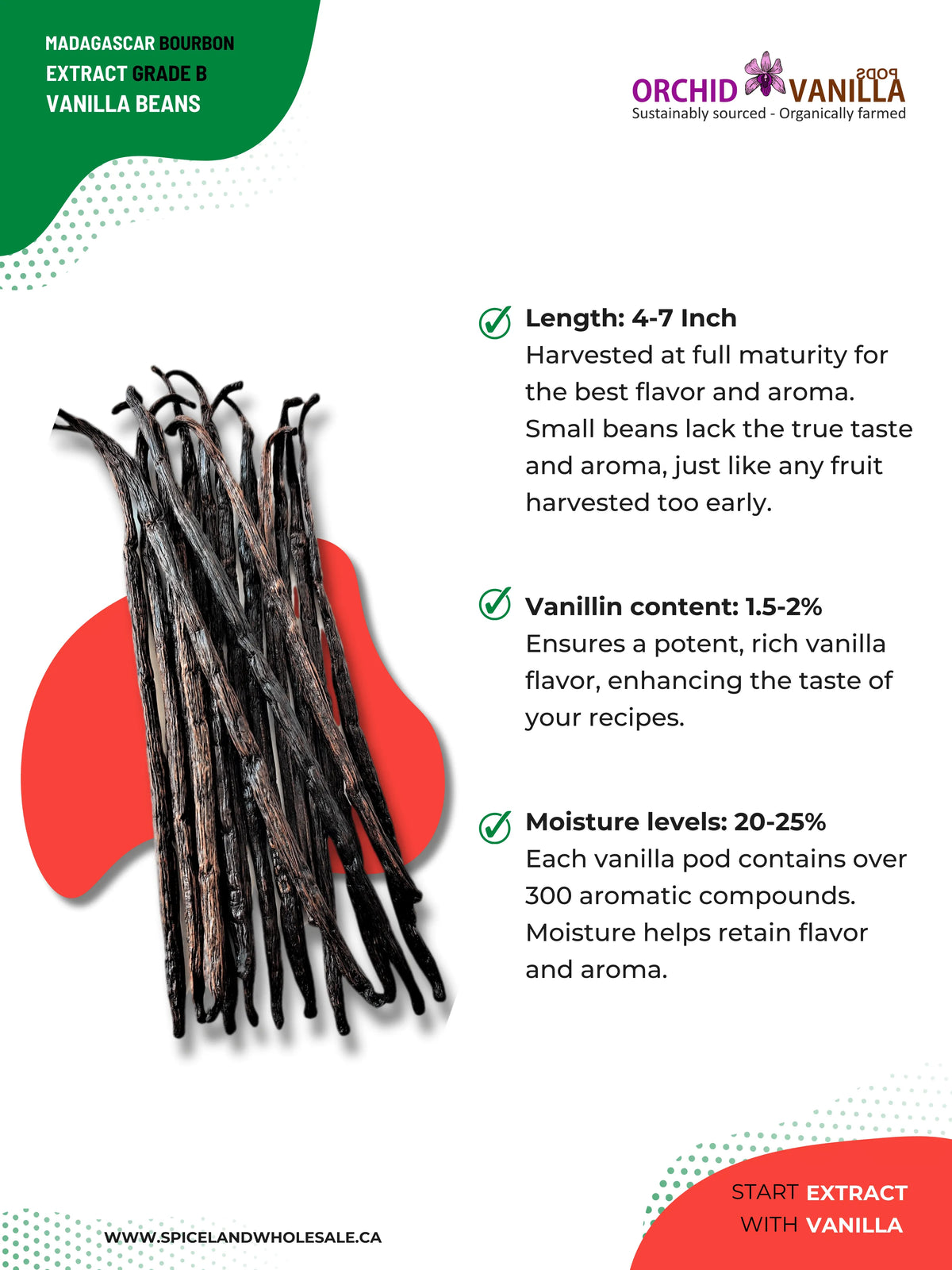 Madagascar Bourbon Extract Vanilla Beans Grade-B <br>For Extract Making<BR>By Count