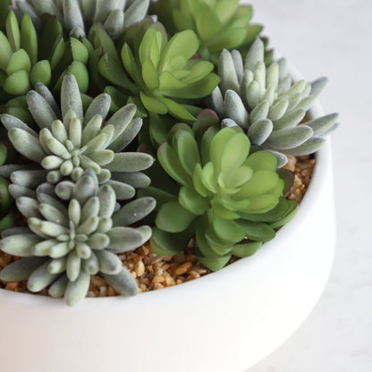 Composition de succulentes artificielles Eva dans un pot bas blanc