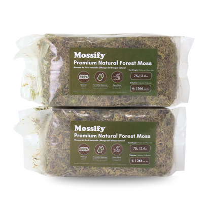 Premium Natural Forest Moss
