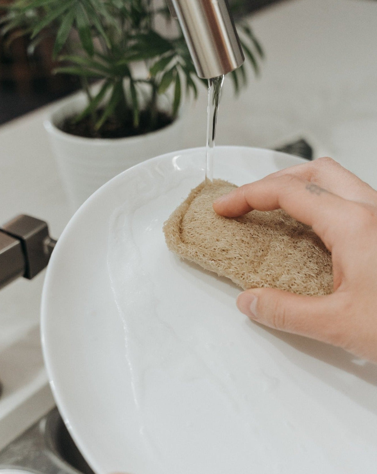 3 Pack Natural Loofah Sponge