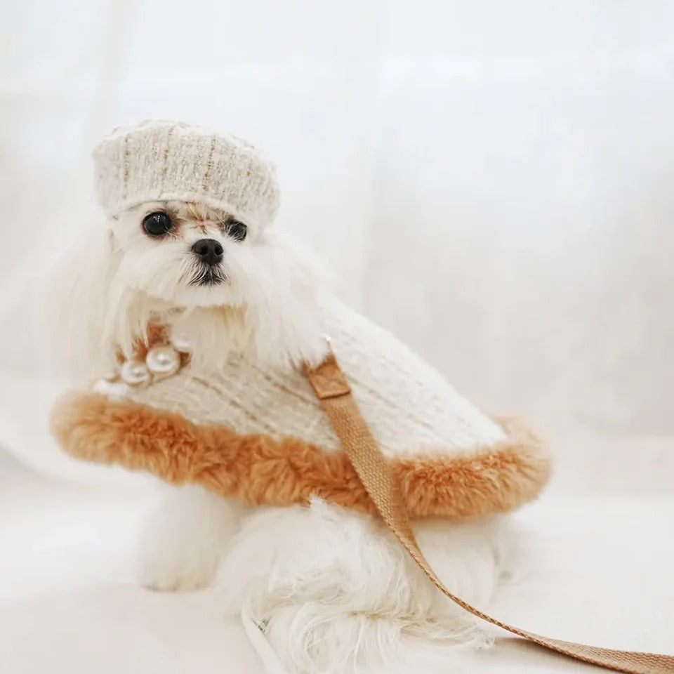 Dog Harness Hat and Leash Set | Designer Pet Set