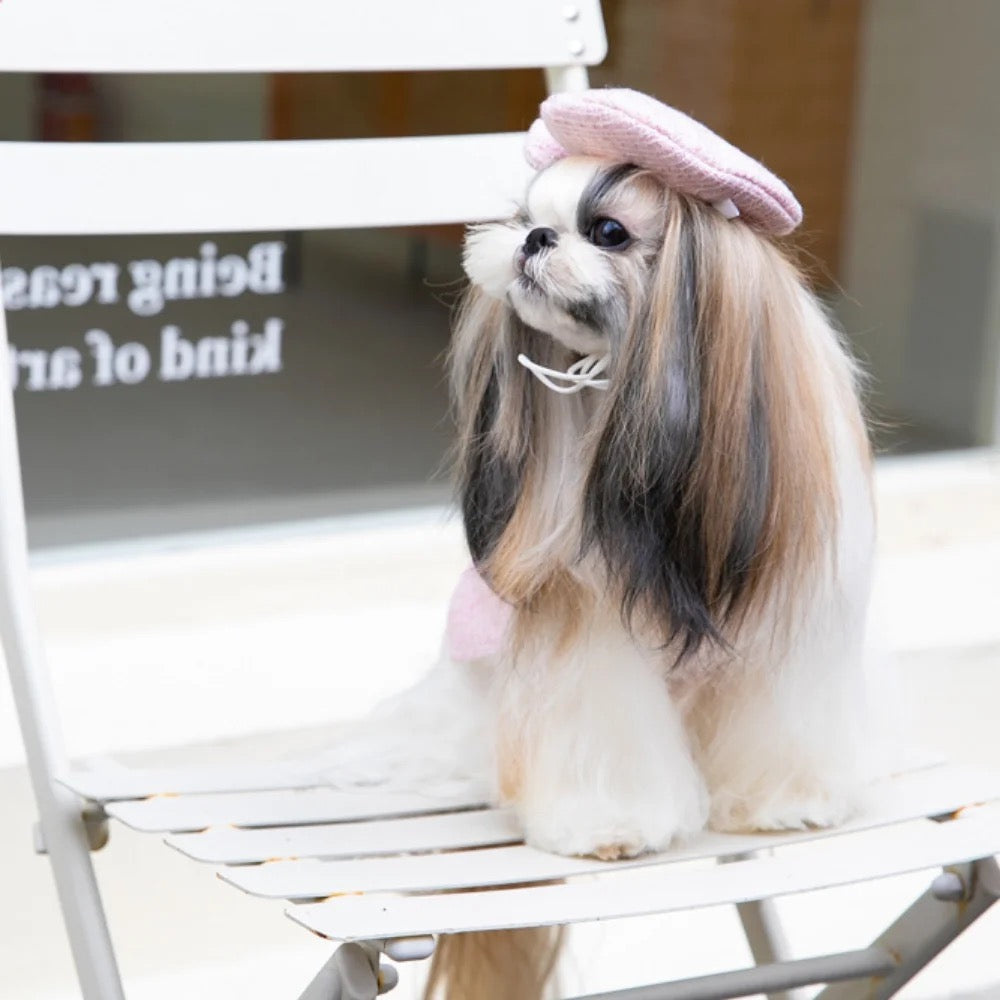 Ensemble robe et chapeau Paris pour chiens – Tenue élégante pour chiens