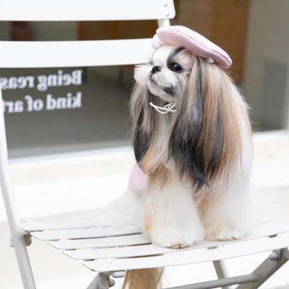 Ensemble robe et chapeau Paris pour chiens – Tenue élégante pour chiens