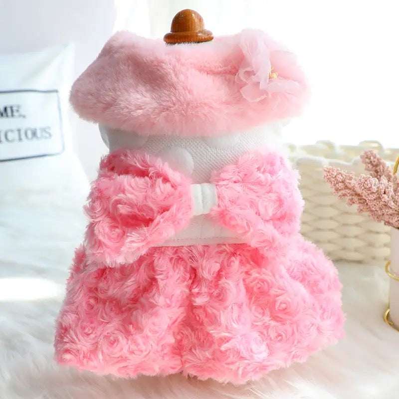 Rosemary Garden Dog Coat | Floral Occasion Dog Outerwear