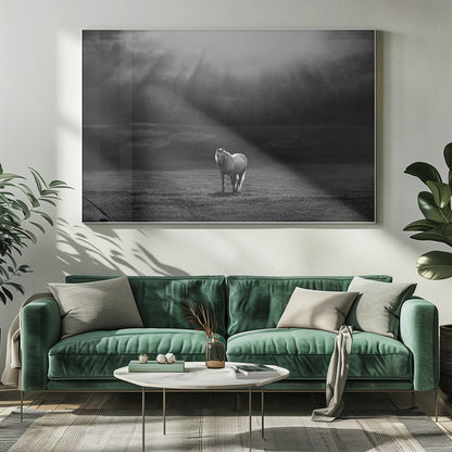 Wall art morning appearance. Hourses