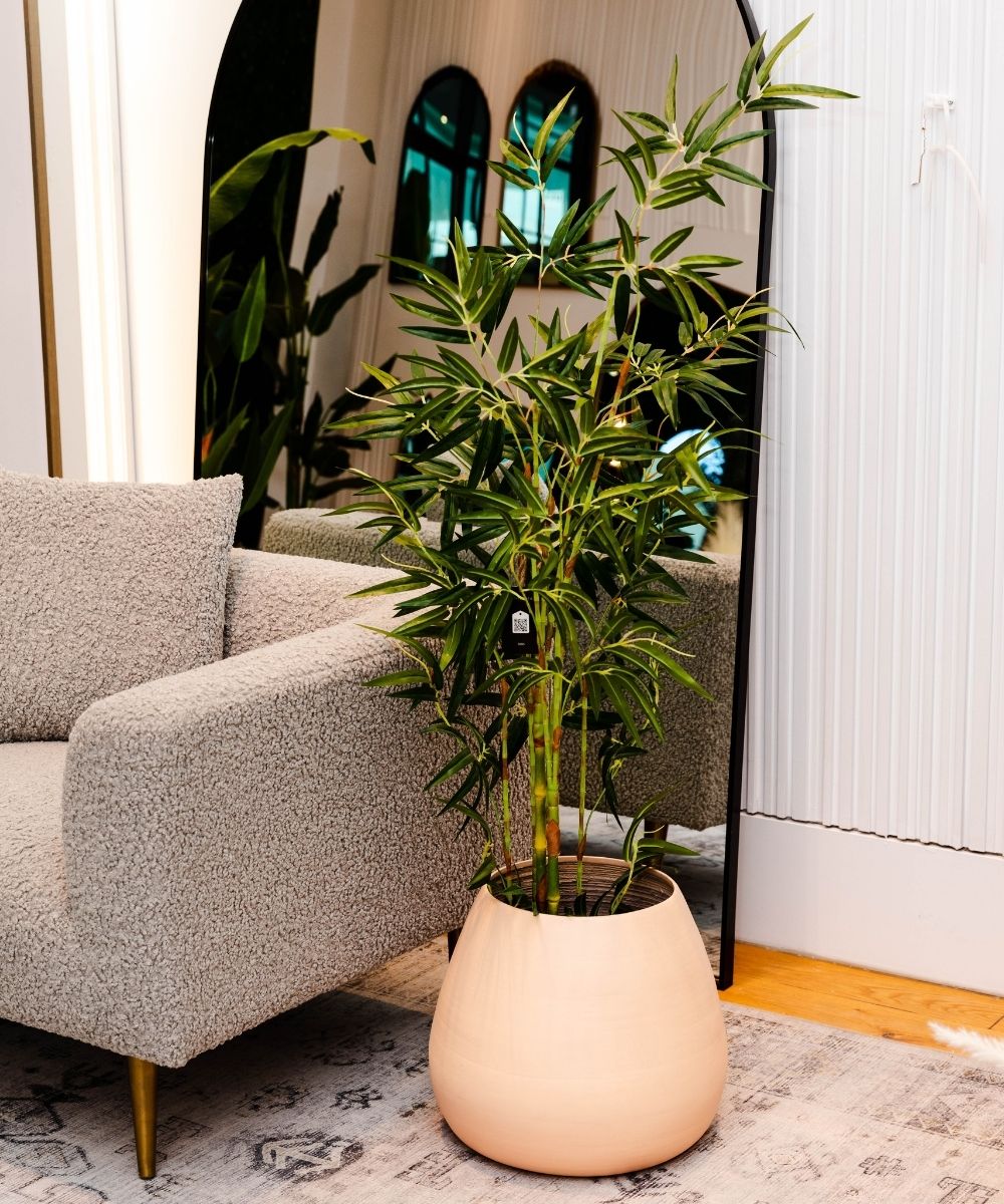 Plante en pot Osos artificielle en bambou (plusieurs tailles)