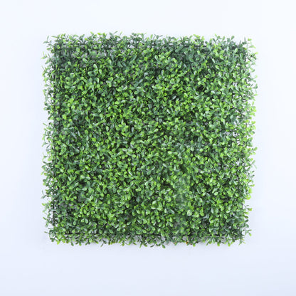 Valencia (box of 12)