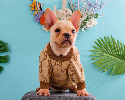 Gigi Knit Dog Sweater | Dog Sweater