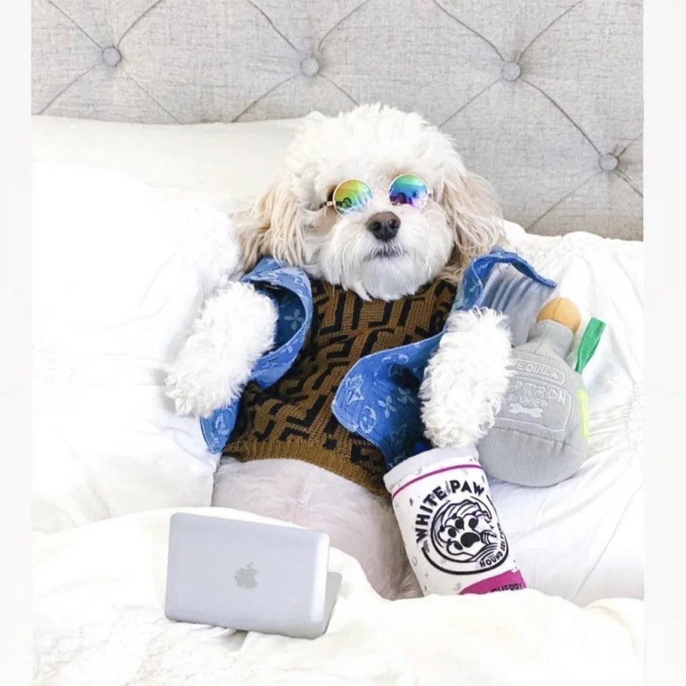 Dog Sweater Shirt | Chewy Pawtton Layered Knit