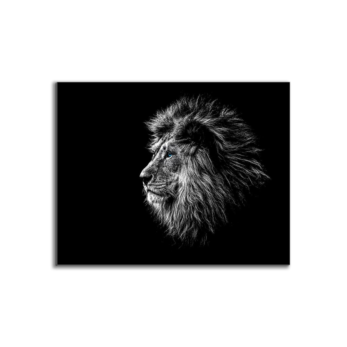 Wildlife Canvas Art-Lions Head Blue Eye in Black and White -Silver varnish