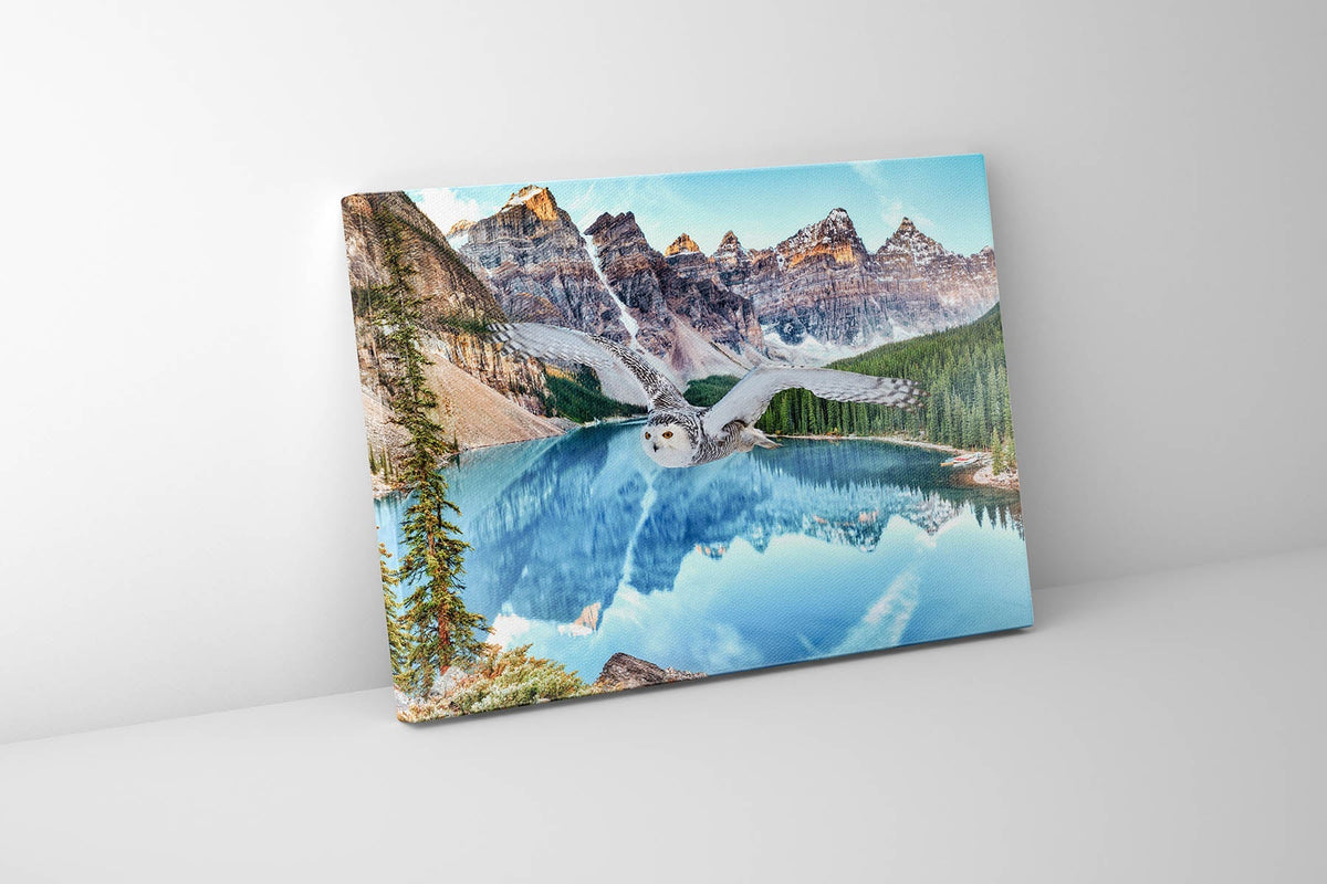 Canvas Wildlife Art-Snowy Owl at Banff-Printed Artwork