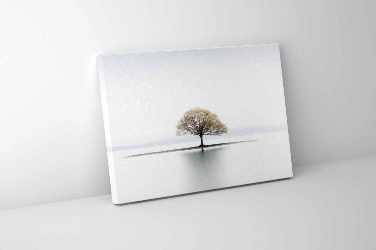 Solitude Canvas Wall Art | Minimalist Lone Tree Fine Art Print | Diamond Finish | 3 Sizes