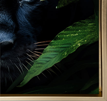 Rare Black Jaguar - Wall Decor-RGB Vanish Canvas Print