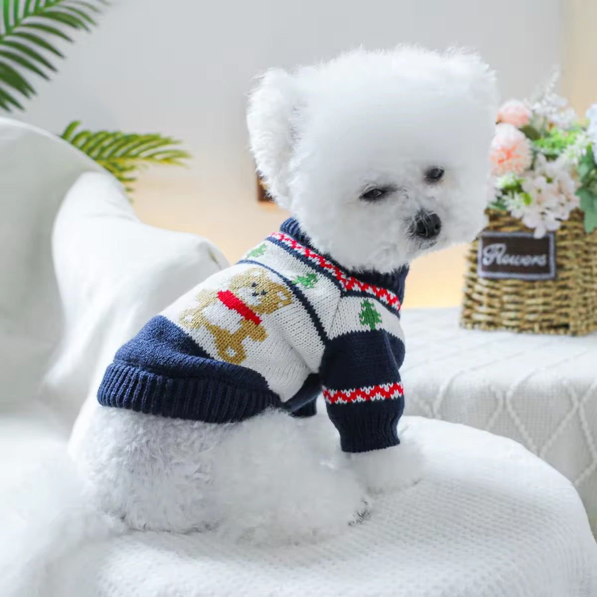 Badger Christmas Sweater for Dogs – Festive Holiday Dog Sweater