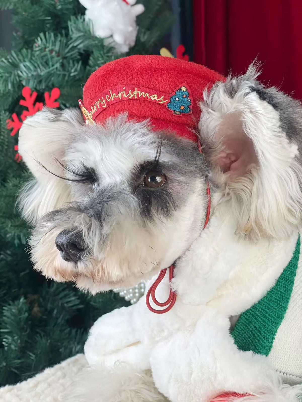 Pull de Noël pour chien en pain d'épices – Tenue tricotée d'hiver pour chiens