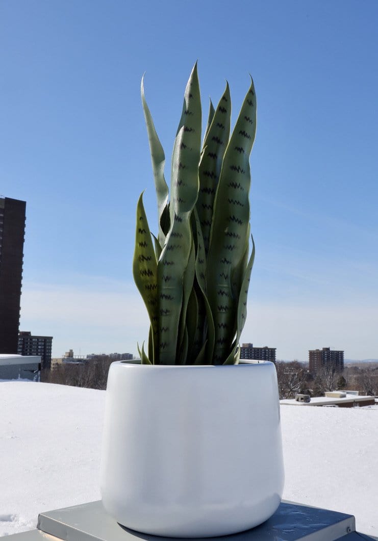 Fabi - Jardinière sur pied en laiton blanc