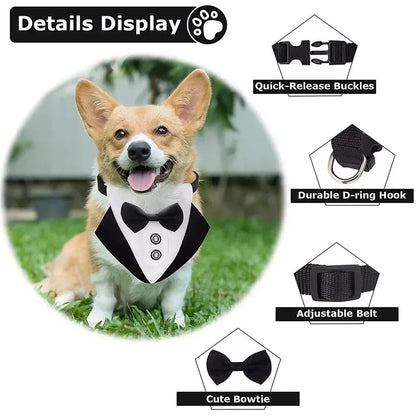 Best Man Collar