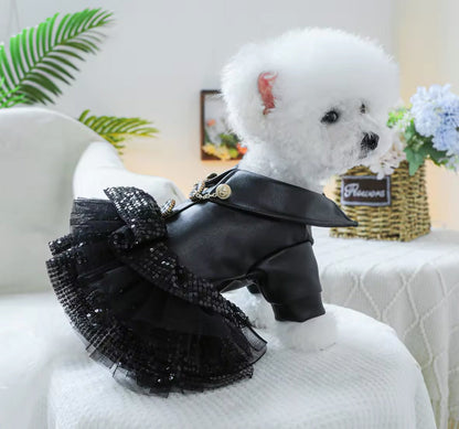 She’s a Rockstar Dog Dress | Dog Dress for Special Occasions