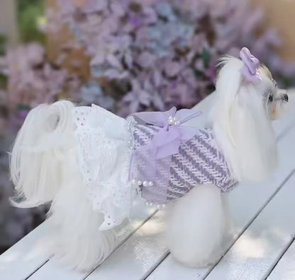 Lavender Dream Dress – Luxury Dog Dress