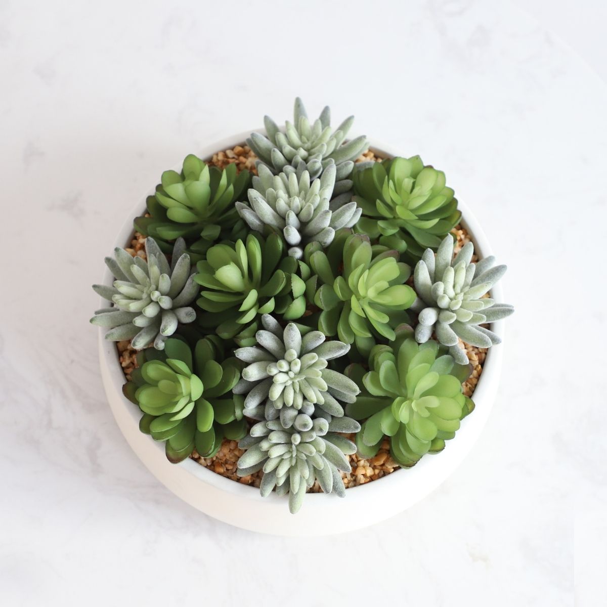 Composition de succulentes artificielles Eva dans un pot bas blanc