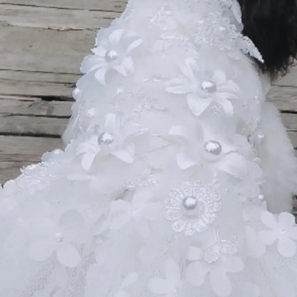 Garden Grace Dog Dress | Elegant Occasion Dog Dress