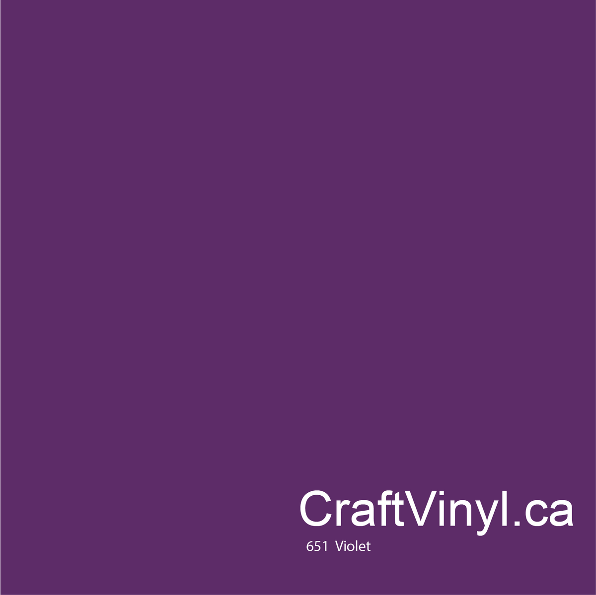 Oracal 651 Violet brillant #040
