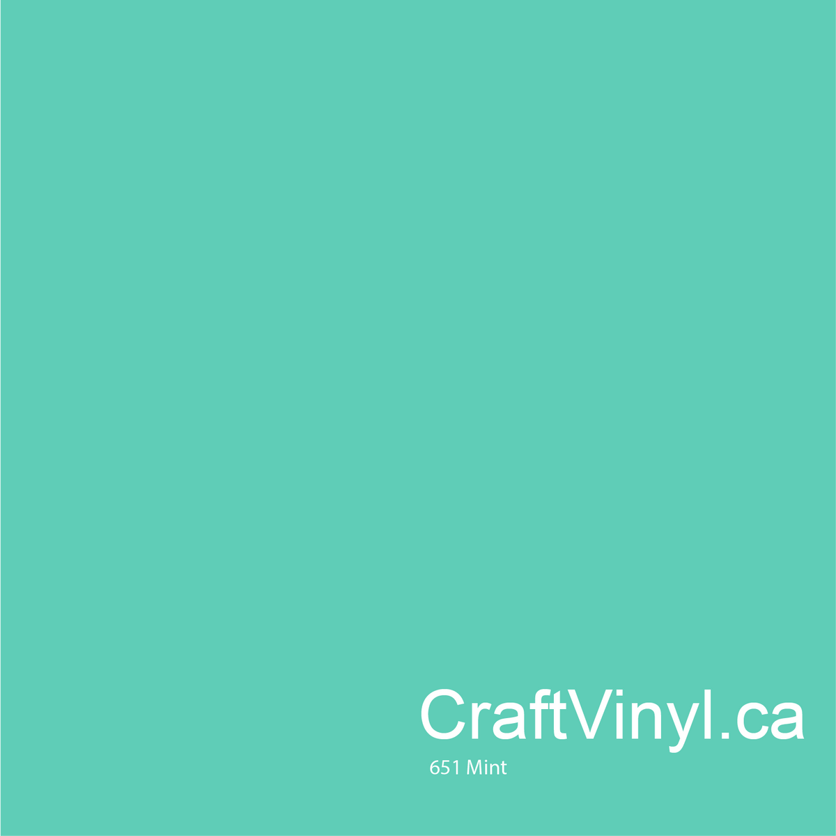 Vinyle Oracal 651 brillant menthe #055