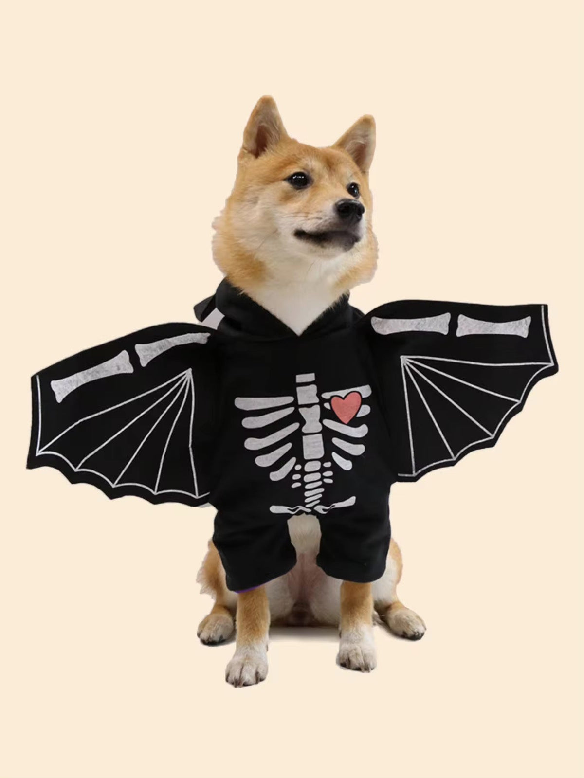 BatDog Halloween Costume | Dog Costume with Hat