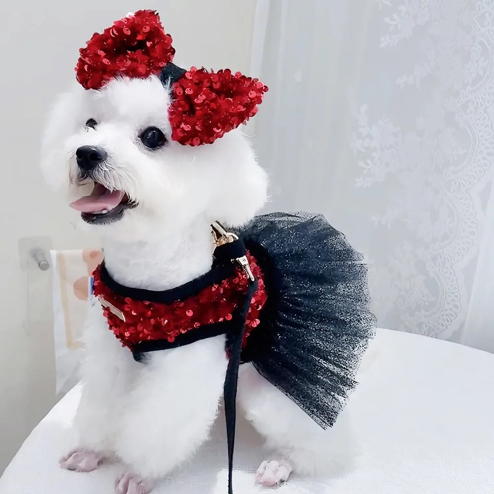 Ensemble robe Giselle Noir pour chien | Robe de cérémonie avec nœud assorti