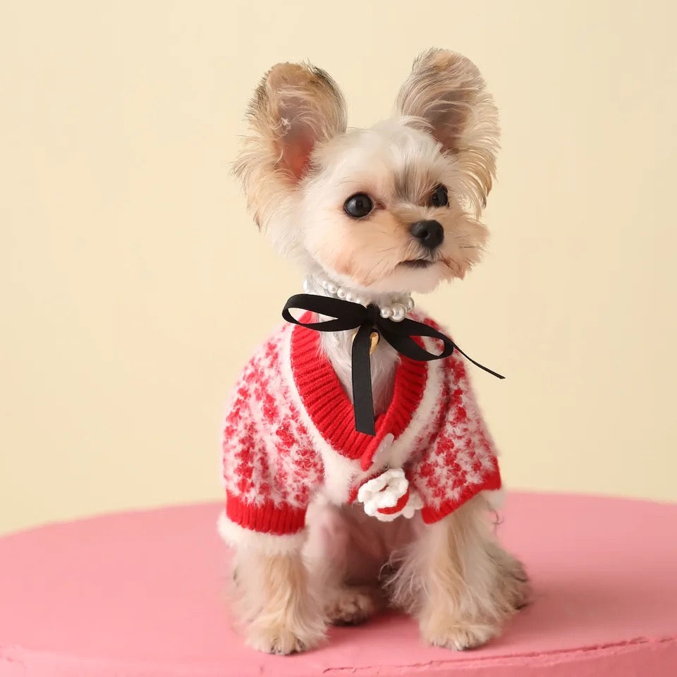 Pull douillet en maille Rosalinda pour chien | Pull chaud pour chien au quotidien
