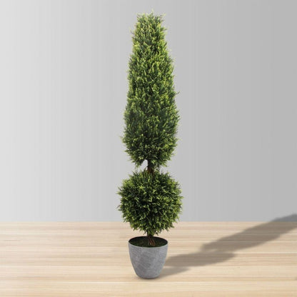 Buis topiaire en pot Jacob (plusieurs tailles)